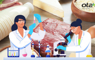 Які проблеми вирішує аналіз білка в харчових продуктах